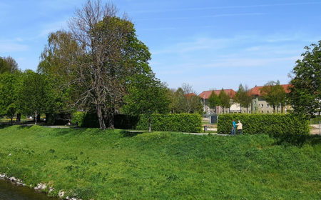 Banner-Bild