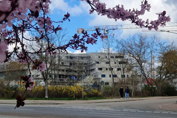 Frühling WoC
