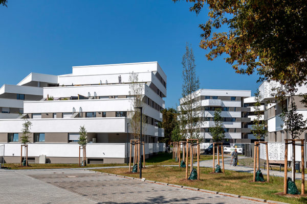 Terrassenhaeuser-und-Baslkonwohnungen