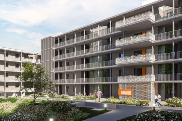 D5_Image-25_20220303_102257-2 D5_Image-25_20220303_102257-2