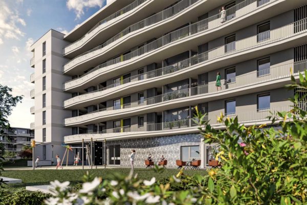 D5_Image-70_20221130_095913 D5_Image-70_20221130_095913